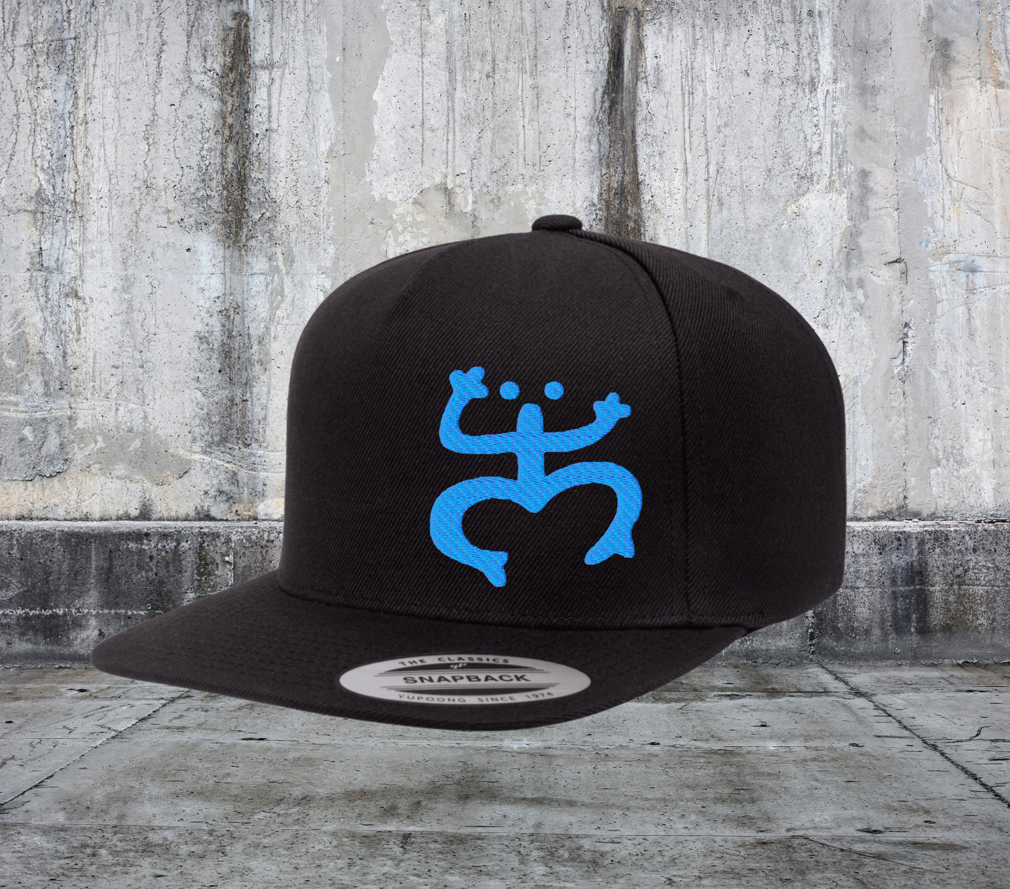 COQUI TAINO EMBROIDERED STRUCTURED SNAPBACK HAT