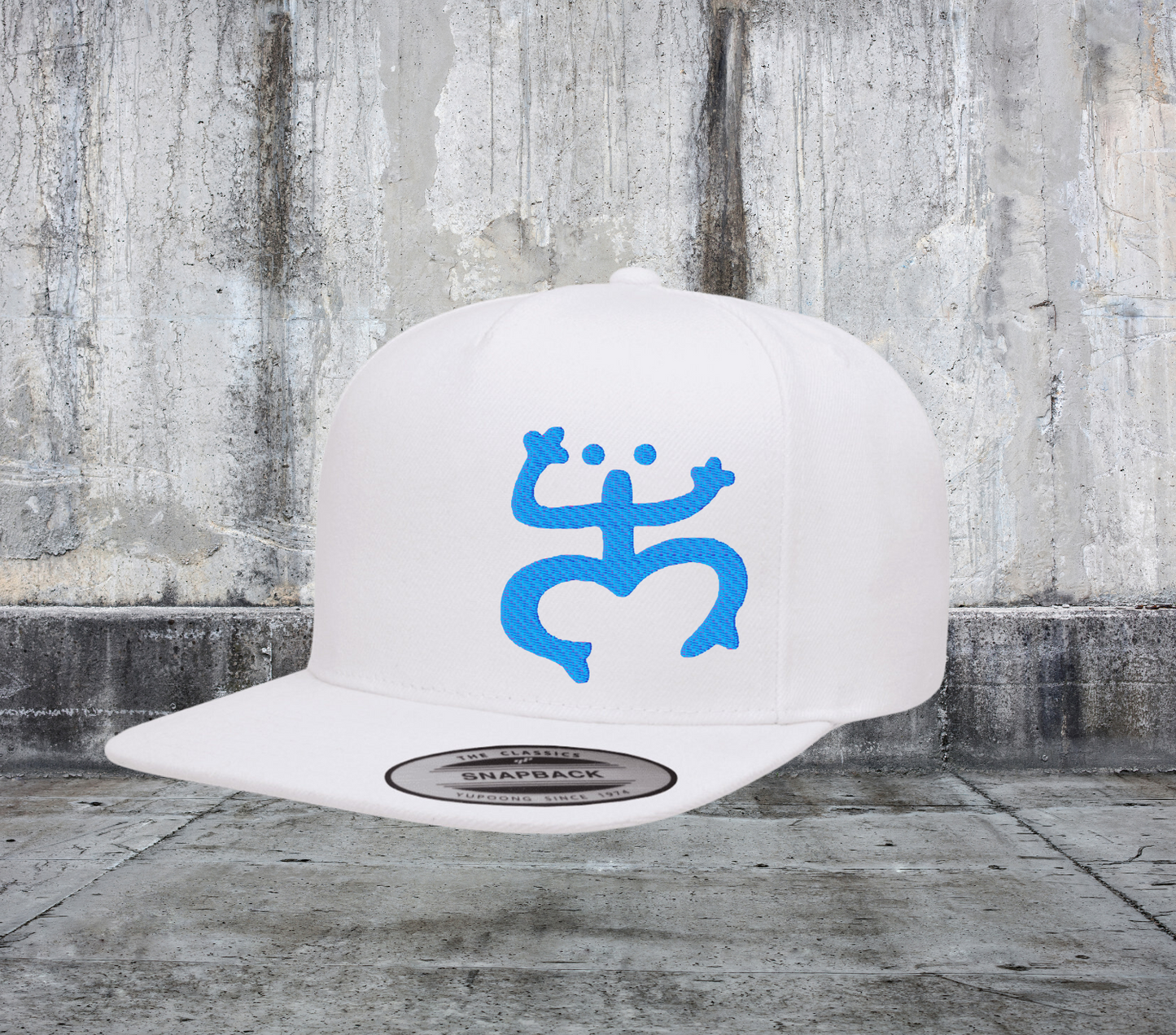 COQUI TAINO EMBROIDERED STRUCTURED SNAPBACK HAT