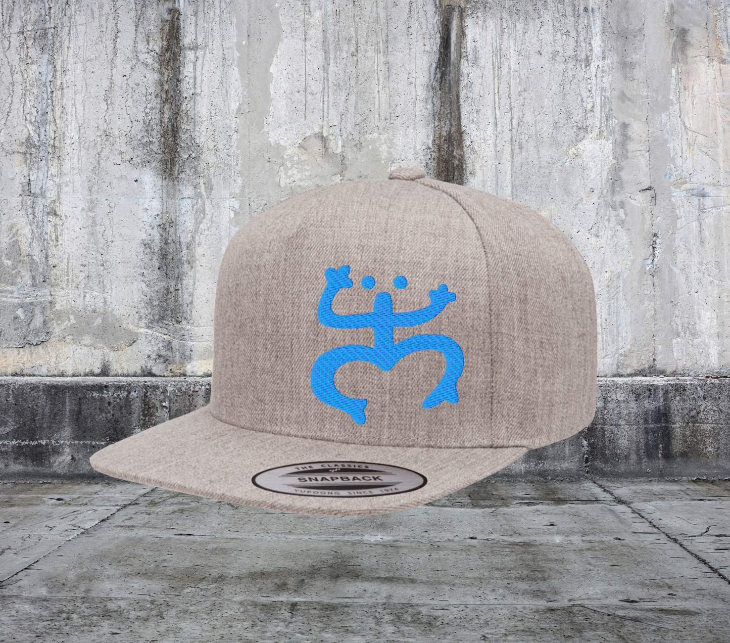 COQUI TAINO EMBROIDERED STRUCTURED SNAPBACK HAT