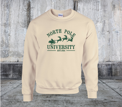 North Pole University Embroidered Crewneck Sweater