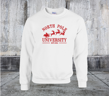 North Pole University Embroidered Crewneck Sweater